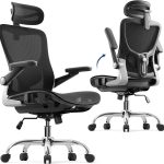 Ergonomic Office Chair, Mesh Seat Cushion with 3D Armrests and 3D Headrest, Adjustable Lumbar Support,  Class 4 Gas Clylinder, Black
